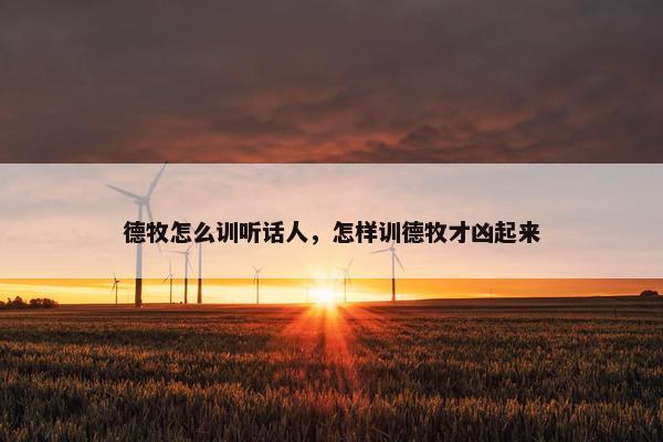 德牧怎么训听话人，怎样训德牧才凶起来