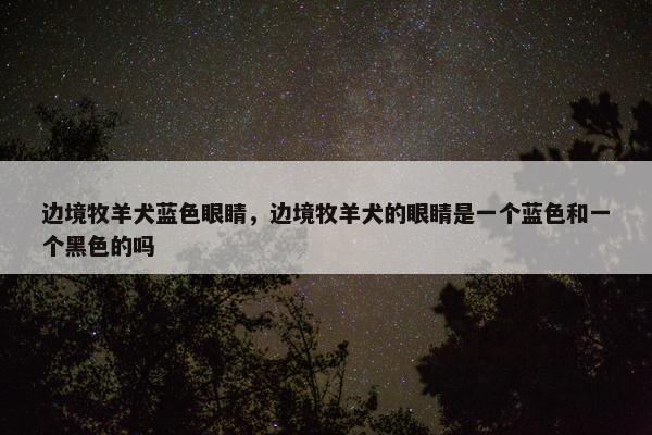 边境牧羊犬蓝色眼睛，边境牧羊犬的眼睛是一个蓝色和一个黑色的吗
