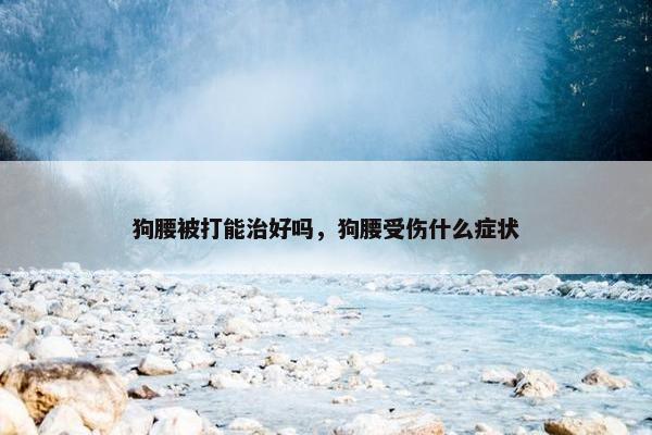 狗腰被打能治好吗，狗腰受伤什么症状