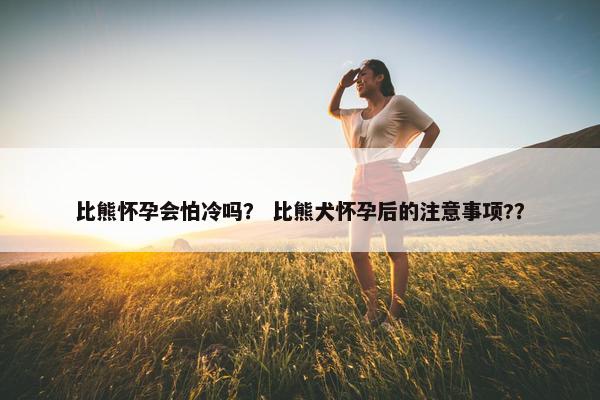 比熊怀孕会怕冷吗？ 比熊犬怀孕后的注意事项?？