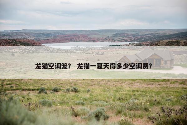 龙猫空调笼？ 龙猫一夏天得多少空调费？