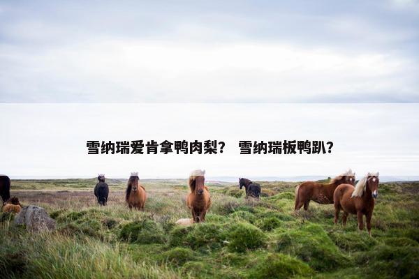 雪纳瑞爱肯拿鸭肉梨？ 雪纳瑞板鸭趴？