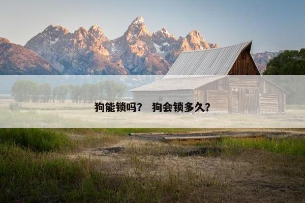 狗能锁吗？ 狗会锁多久？