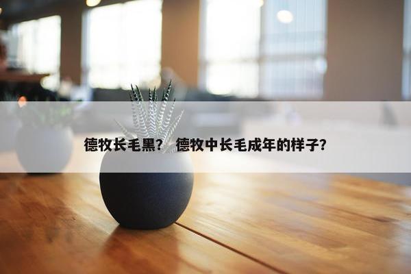 德牧长毛黑？ 德牧中长毛成年的样子？