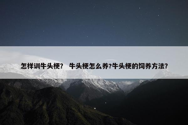 怎样训牛头梗？ 牛头梗怎么养?牛头梗的饲养方法？