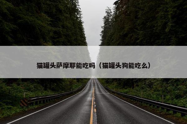 猫罐头萨摩耶能吃吗（猫罐头狗能吃么）