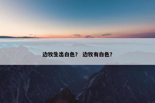 边牧生出白色？ 边牧有白色？