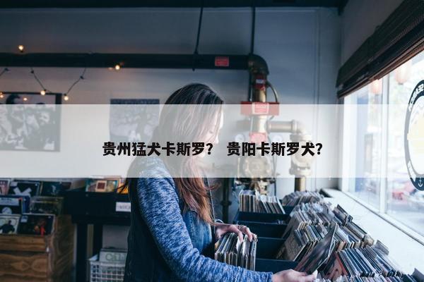 贵州猛犬卡斯罗？ 贵阳卡斯罗犬？