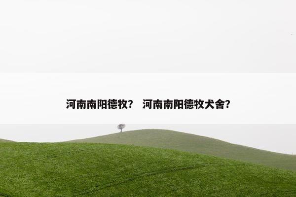 河南南阳德牧？ 河南南阳德牧犬舍？