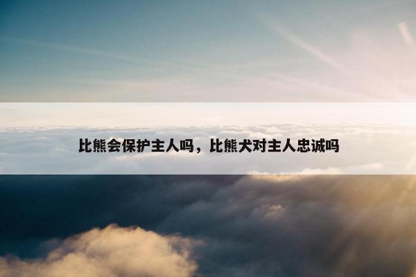 比熊会保护主人吗，比熊犬对主人忠诚吗