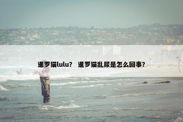 暹罗猫lulu？ 暹罗猫乱尿是怎么回事？