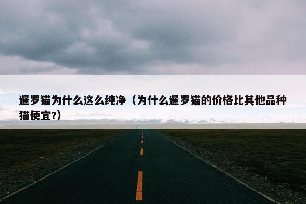暹罗猫为什么这么纯净（为什么暹罗猫的价格比其他品种猫便宜?）