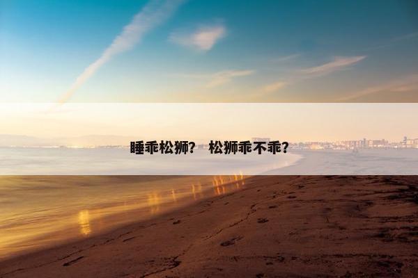 睡乖松狮？ 松狮乖不乖？