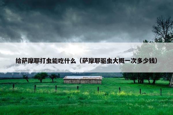 给萨摩耶打虫能吃什么（萨摩耶驱虫大概一次多少钱）