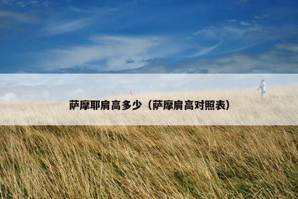 萨摩耶肩高多少（萨摩肩高对照表）