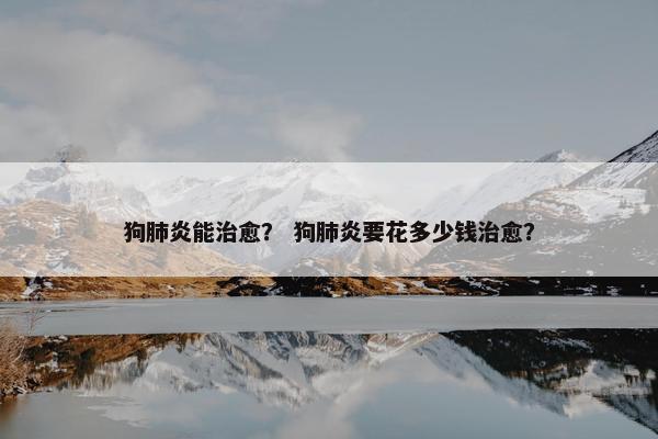 狗肺炎能治愈？ 狗肺炎要花多少钱治愈？