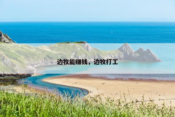 边牧能赚钱，边牧打工