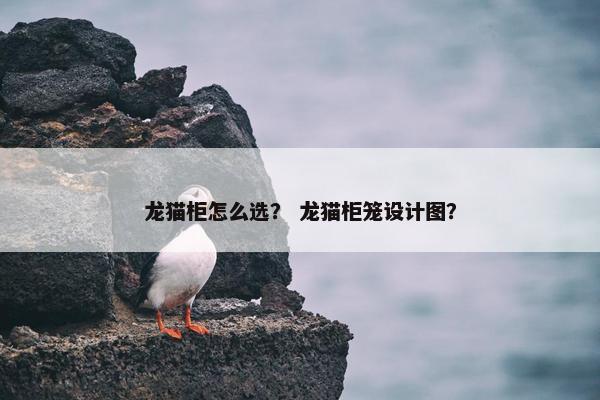 龙猫柜怎么选？ 龙猫柜笼设计图？