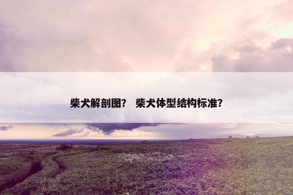 柴犬解剖图？ 柴犬体型结构标准？