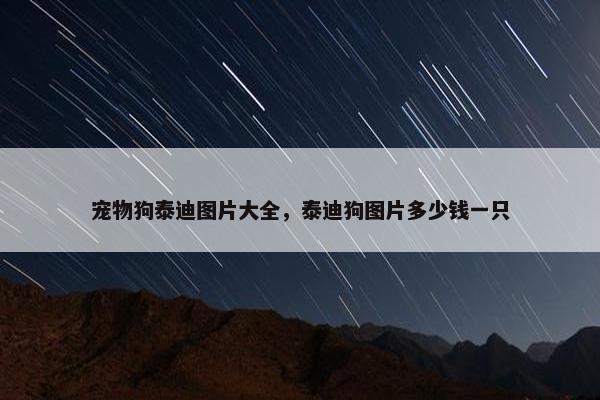 宠物狗泰迪图片大全，泰迪狗图片多少钱一只