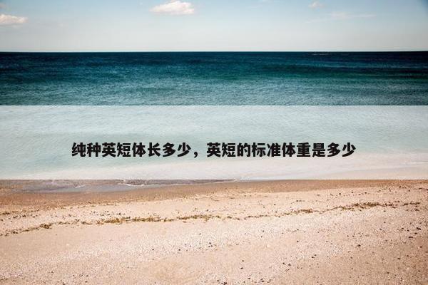 纯种英短体长多少，英短的标准体重是多少