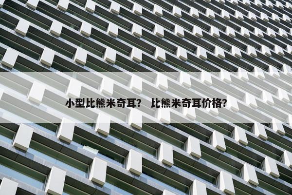 小型比熊米奇耳？ 比熊米奇耳价格？
