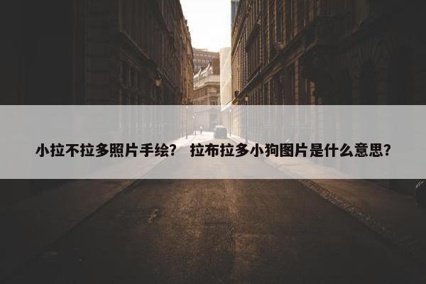 小拉不拉多照片手绘？ 拉布拉多小狗图片是什么意思？
