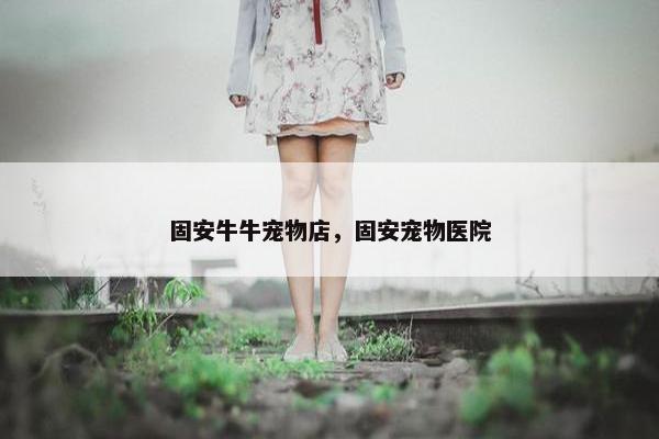固安牛牛宠物店，固安宠物医院