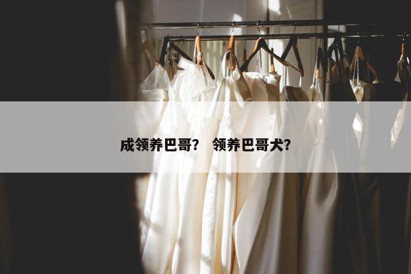 成领养巴哥？ 领养巴哥犬？