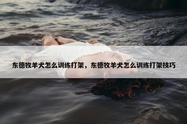 东德牧羊犬怎么训练打架，东德牧羊犬怎么训练打架技巧