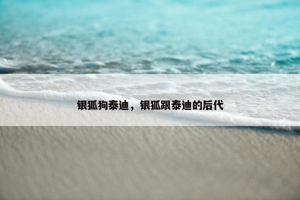 银狐狗泰迪，银狐跟泰迪的后代