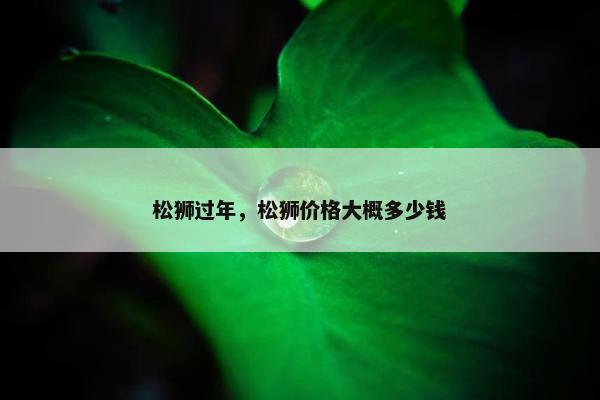 松狮过年，松狮价格大概多少钱