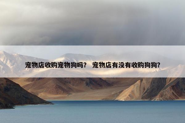宠物店收购宠物狗吗？ 宠物店有没有收购狗狗？