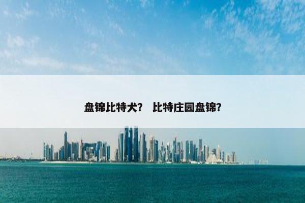 盘锦比特犬？ 比特庄园盘锦？