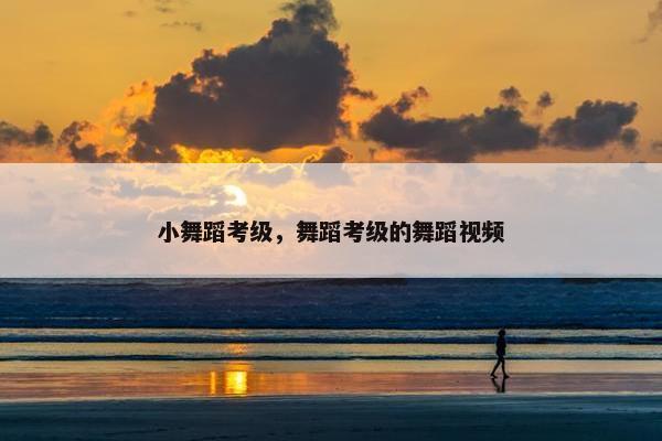 小舞蹈考级，舞蹈考级的舞蹈视频