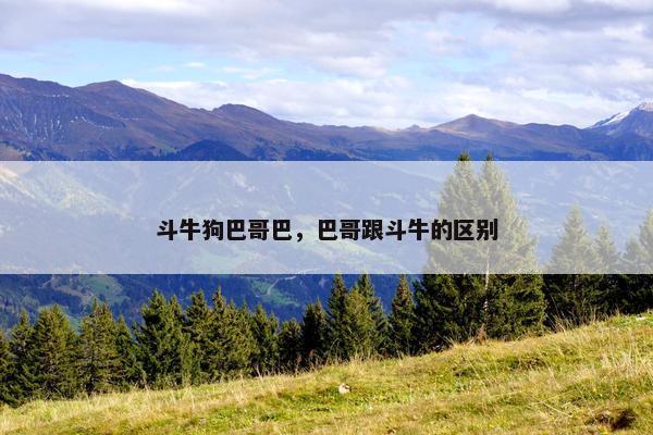 斗牛狗巴哥巴，巴哥跟斗牛的区别