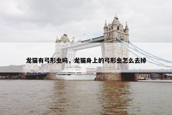 龙猫有弓形虫吗，龙猫身上的弓形虫怎么去掉
