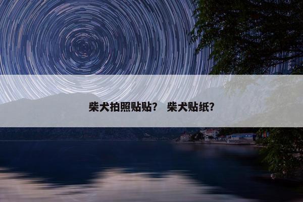 柴犬拍照贴贴？ 柴犬贴纸？