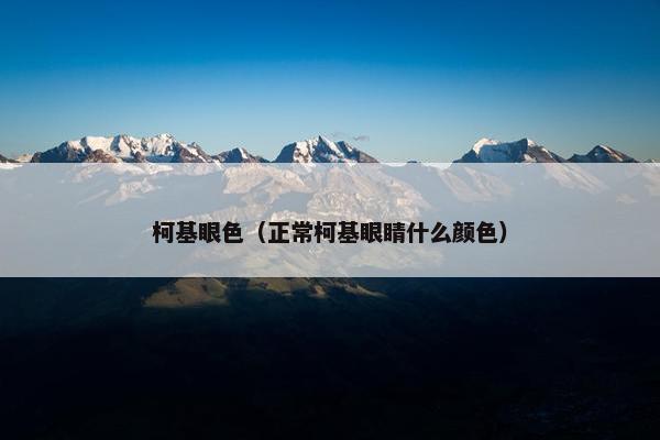 柯基眼色（正常柯基眼睛什么颜色）