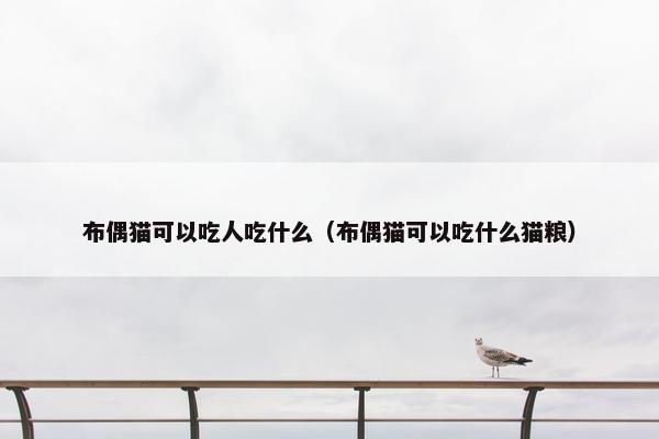 布偶猫可以吃人吃什么（布偶猫可以吃什么猫粮）
