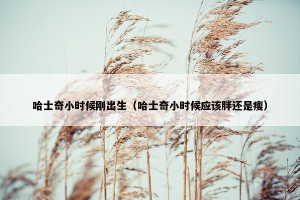 哈士奇小时候刚出生（哈士奇小时候应该胖还是瘦）
