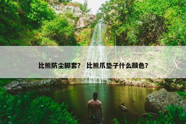 比熊防尘脚套？ 比熊爪垫子什么颜色？