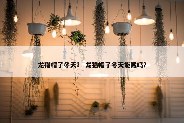 龙猫帽子冬天？ 龙猫帽子冬天能戴吗？