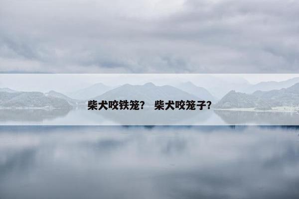 柴犬咬铁笼？ 柴犬咬笼子？