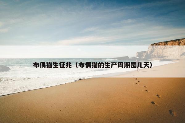 布偶猫生征兆（布偶猫的生产周期是几天）