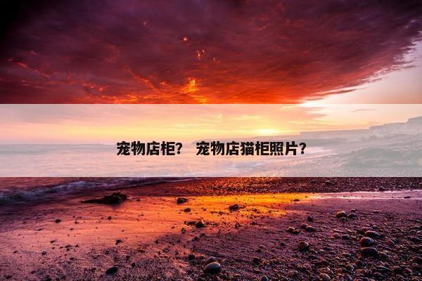 宠物店柜？ 宠物店猫柜照片？