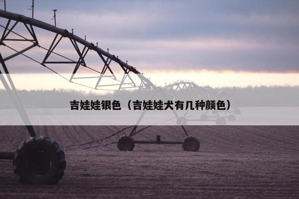 吉娃娃银色（吉娃娃犬有几种颜色）