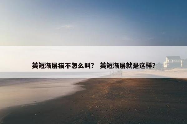 英短渐层猫不怎么叫？ 英短渐层就是这样？
