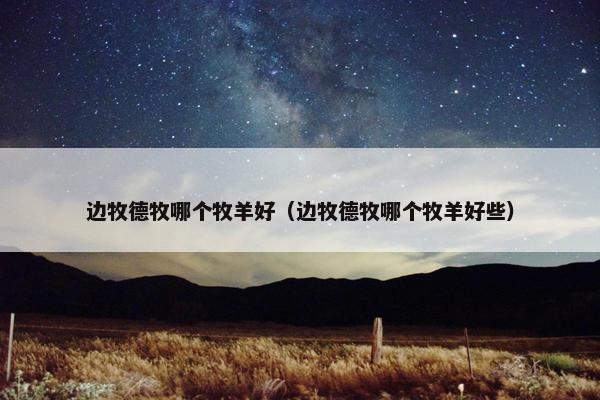 边牧德牧哪个牧羊好（边牧德牧哪个牧羊好些）