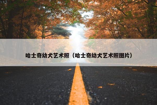 哈士奇幼犬艺术照（哈士奇幼犬艺术照图片）